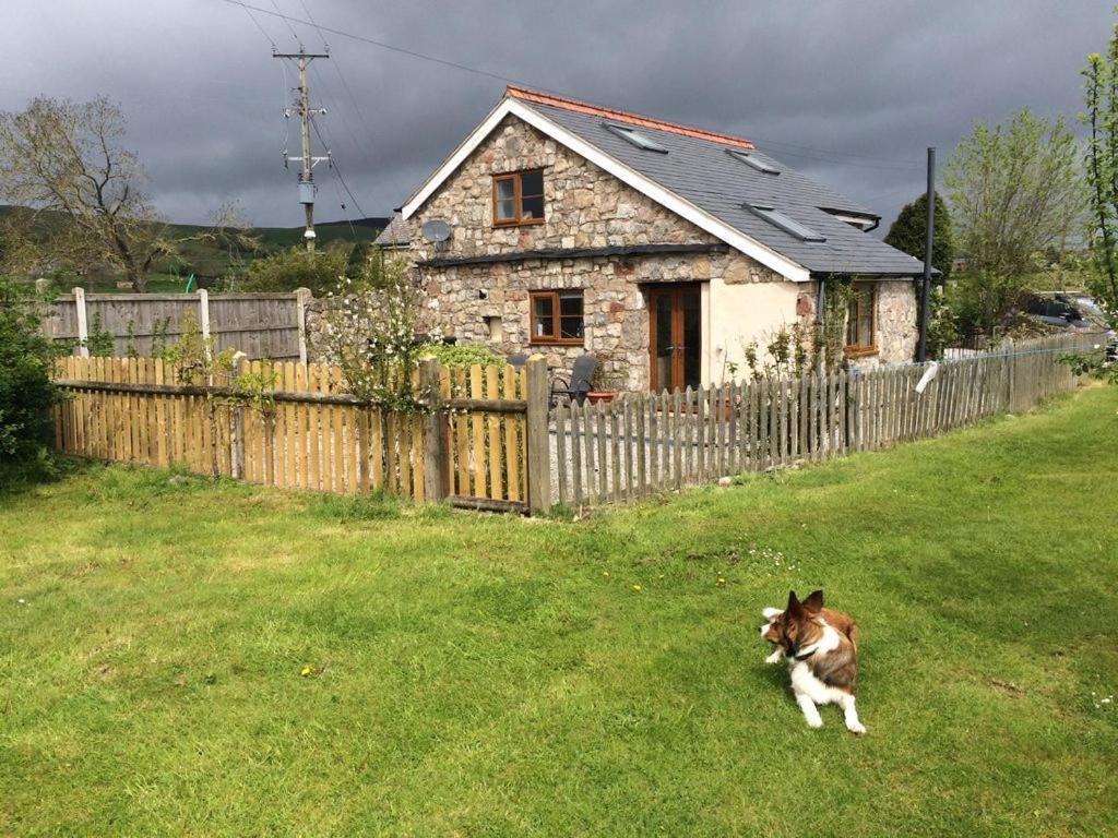 Ty Gylfinir Villa Llandegla Exteriör bild